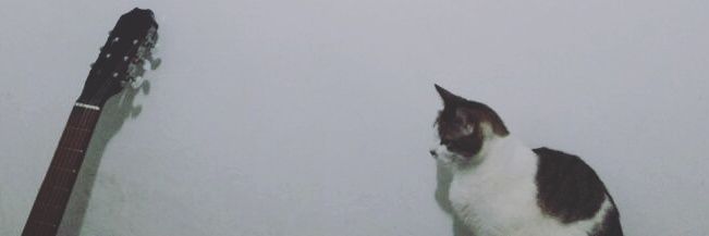 93Vivas's profile banner image