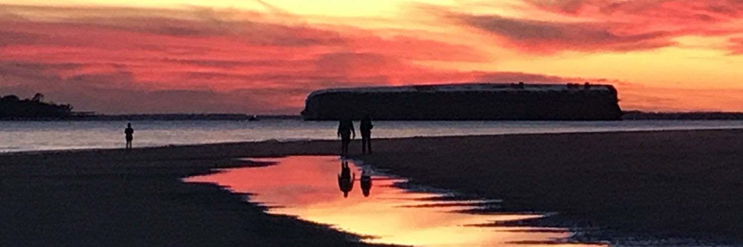 sallyguyer's profile banner image