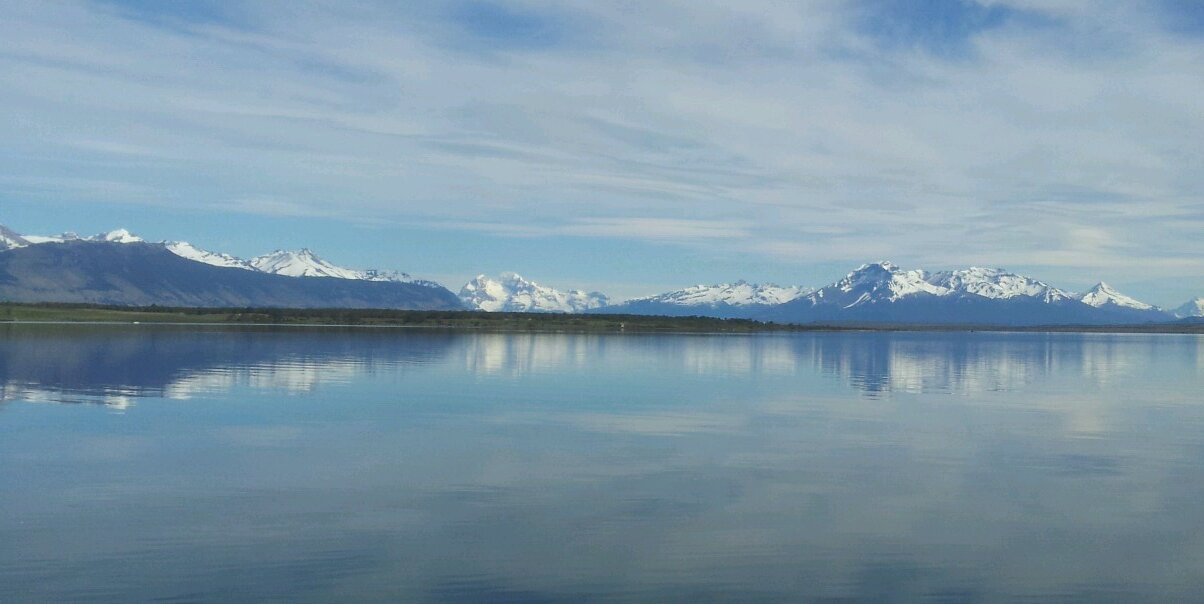 Patricia Gutiérrez banner