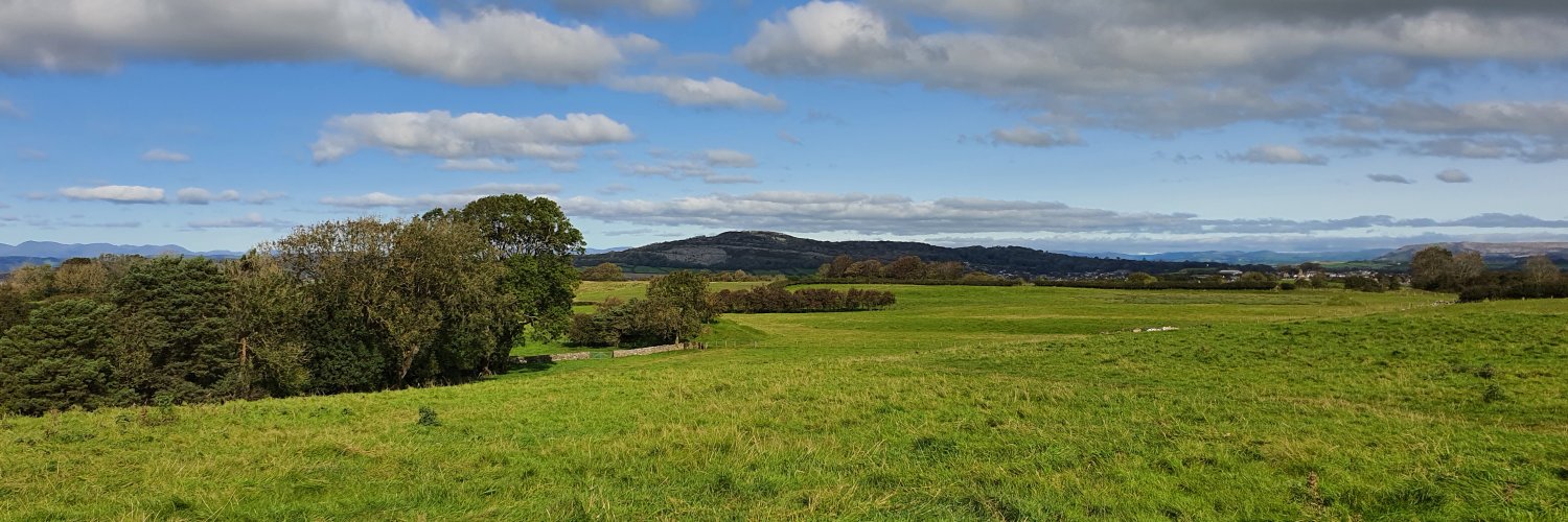 Robert Taylor banner
