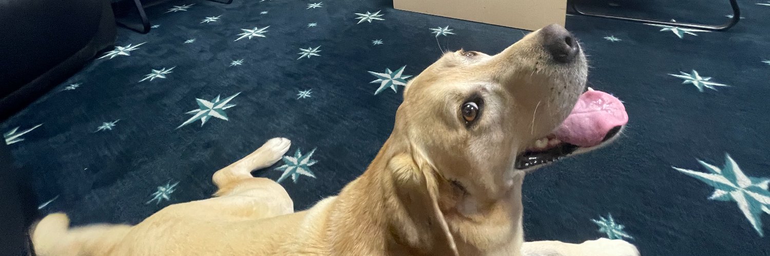 Tucker the Mariners Pup (MarinersPup) / Twitter