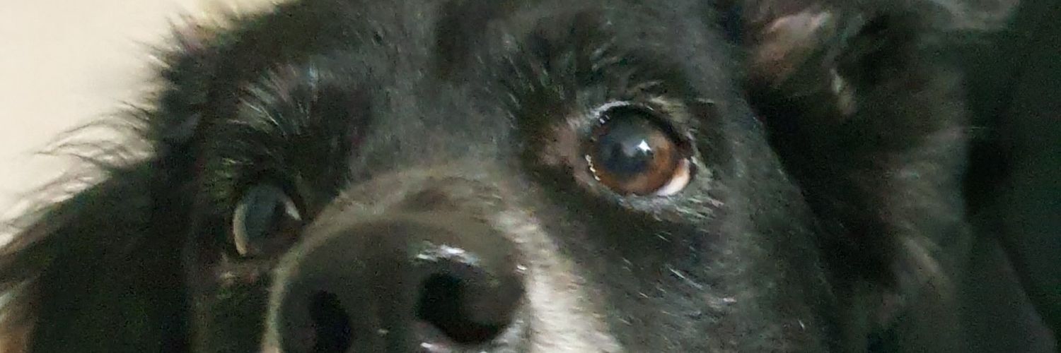 NurysCorrea's profile banner image