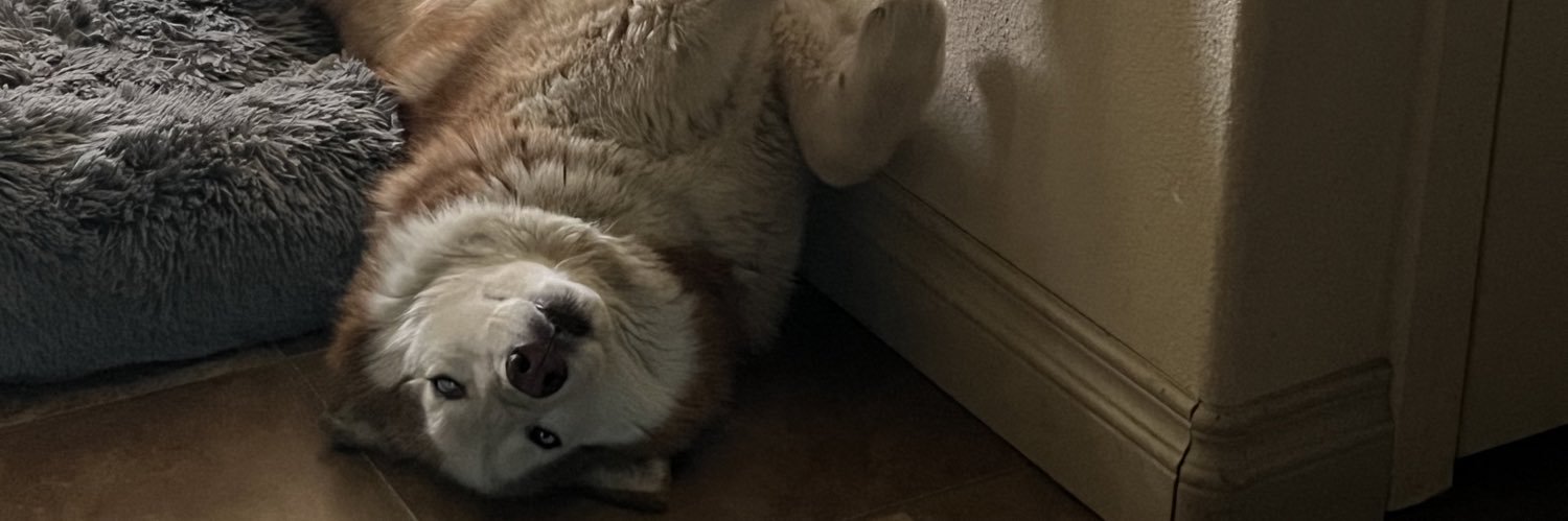 Fantasy Football Dog banner