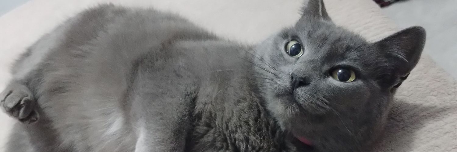 LauMoore16's profile banner image