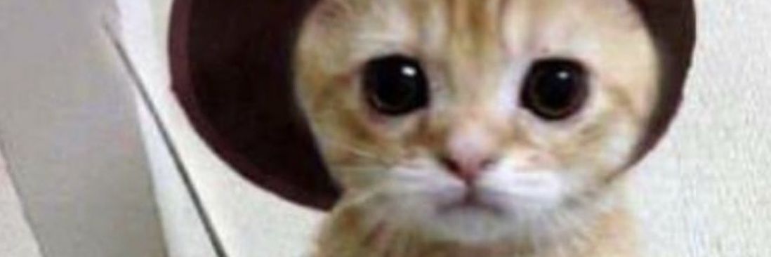 b banner