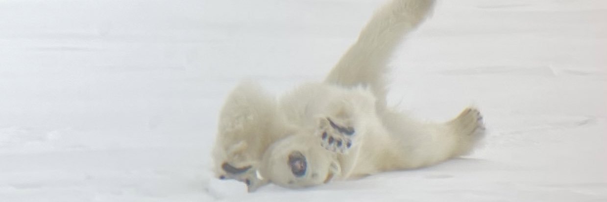 Scott Patterson🧺🚀🌙🤖🦾 banner