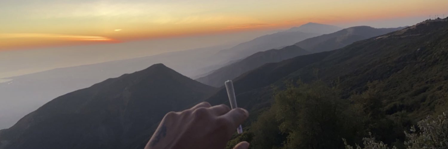 Gnatalie98's profile banner image