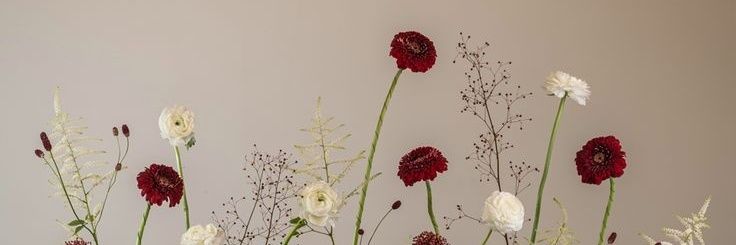 em banner