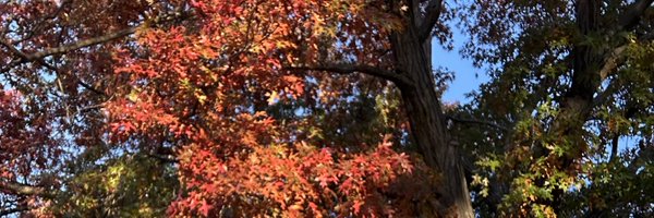 hustkochan Profile Banner