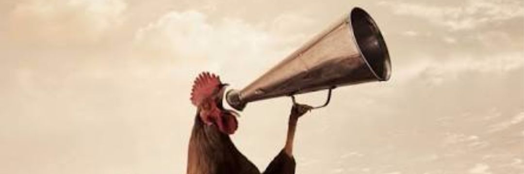GozdeHoroz's profile banner image