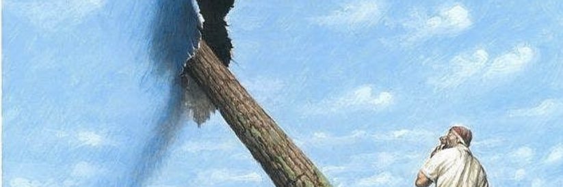 queixes's profile banner image