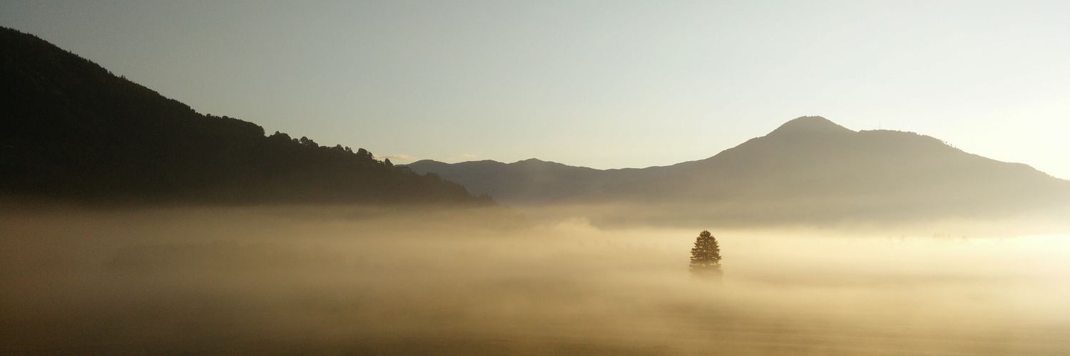 ente025's profile banner image
