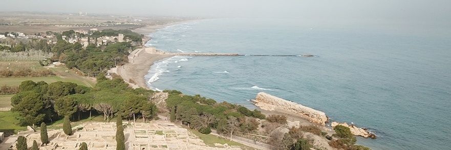 CArbusi's profile banner image