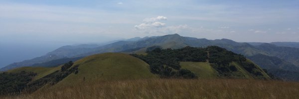 RunnerApe Profile Banner