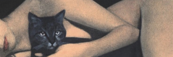 wirbel_'s profile banner image