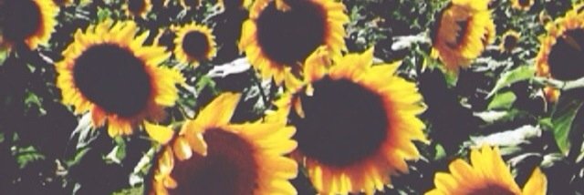 abbyrischer's profile banner image
