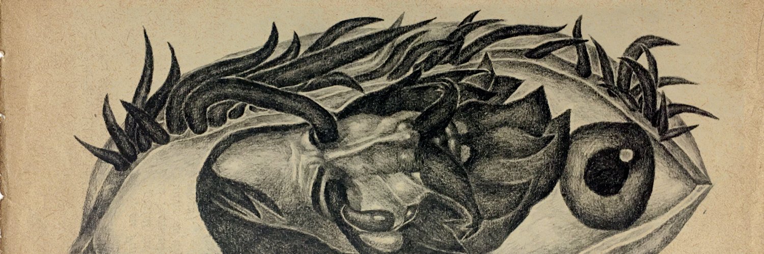 th3 f00l's banner