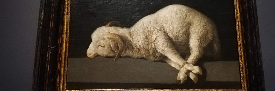 ProfMoehring's profile banner image