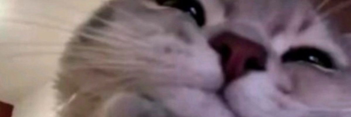 Dulcedeleche banner