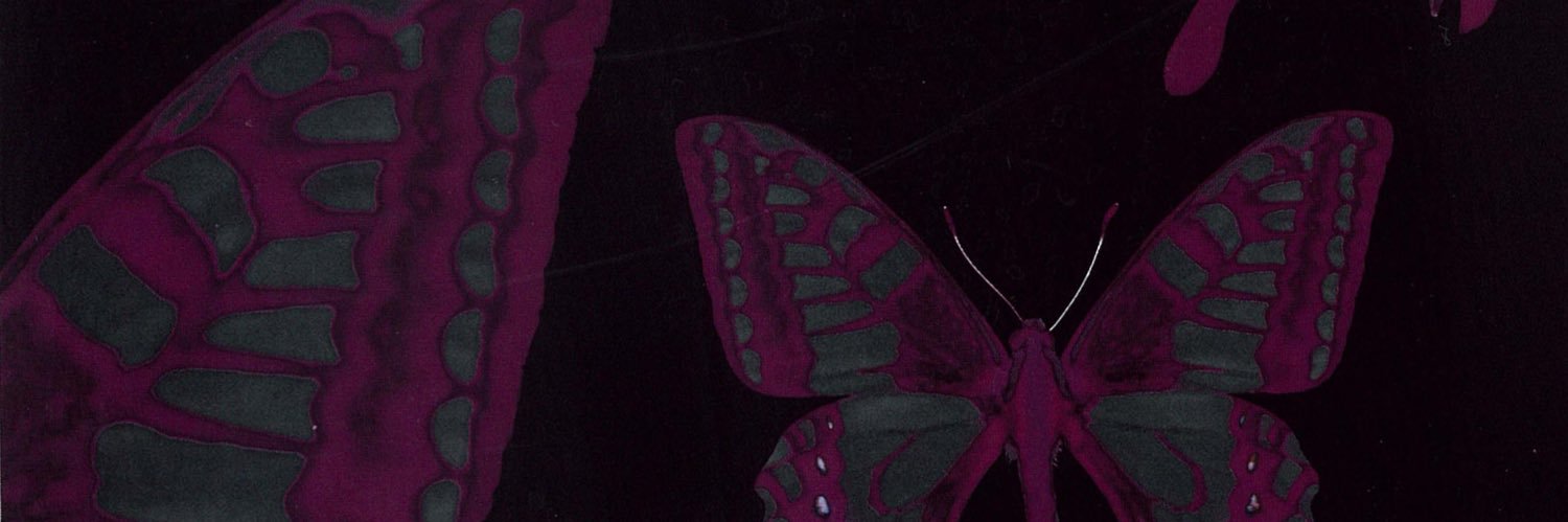 扑棱蛾子 banner