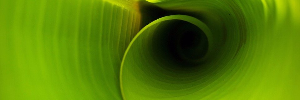 Verandertijd's profile banner image