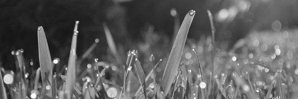 HarunoameRecord Profile Banner