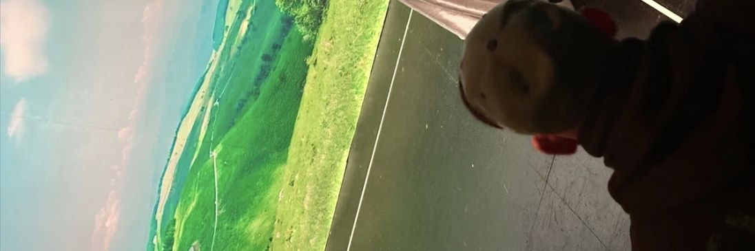 not/in/service banner