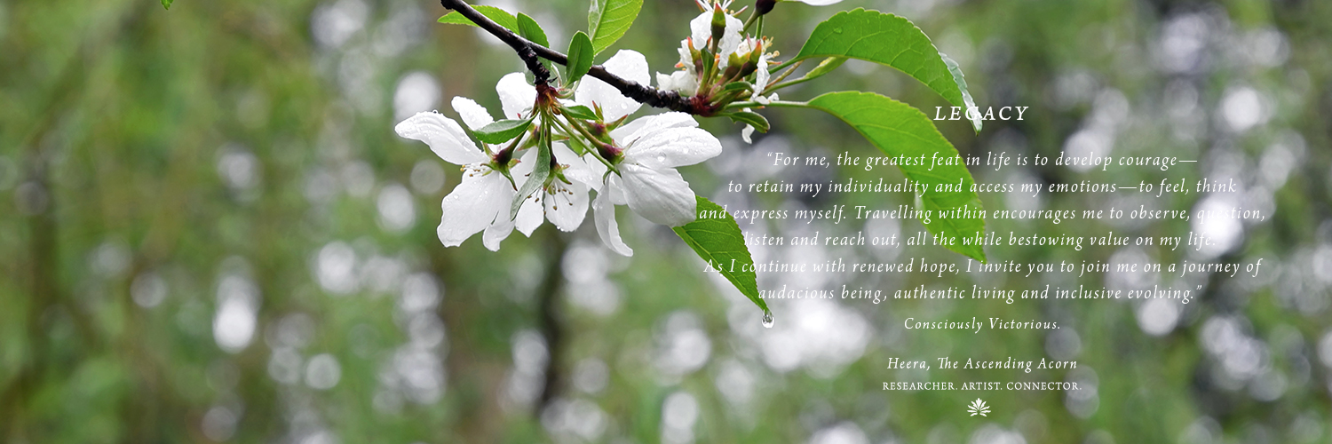 heerarajagopal's profile banner image