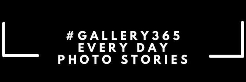 Gallery365photo's banner