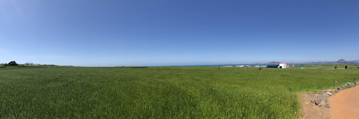 pigbbongv's profile banner image
