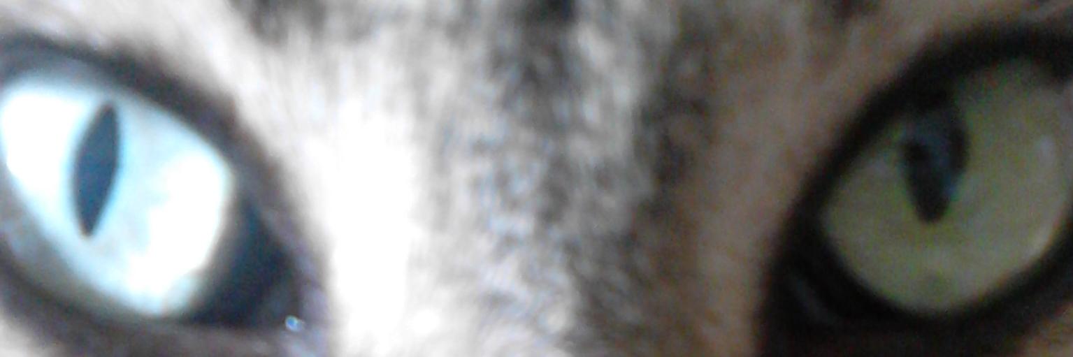 jmpadn's profile banner image