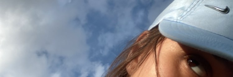 Crisra banner