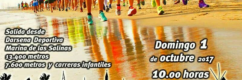 Correlimos13.4 banner