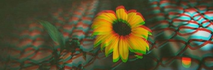 angell_lenae's profile banner image