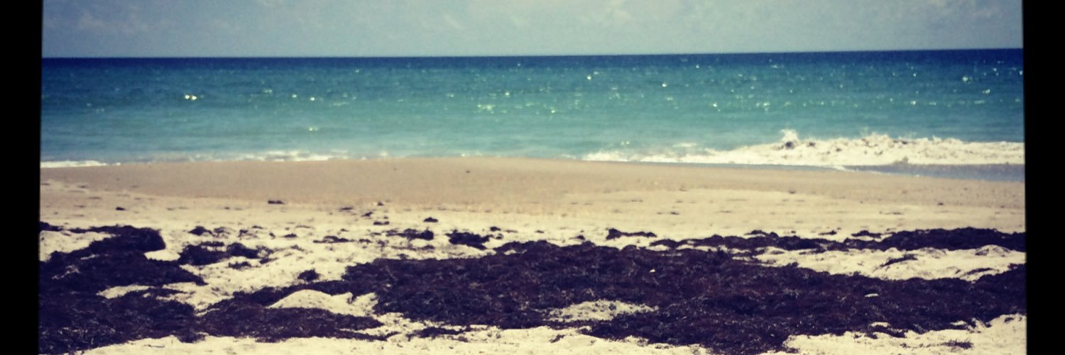 DeAnn458's profile banner image