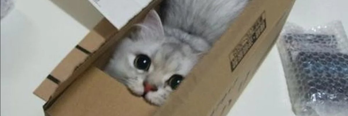 Swany 🏴󠁧󠁢󠁳󠁣󠁴󠁿 banner