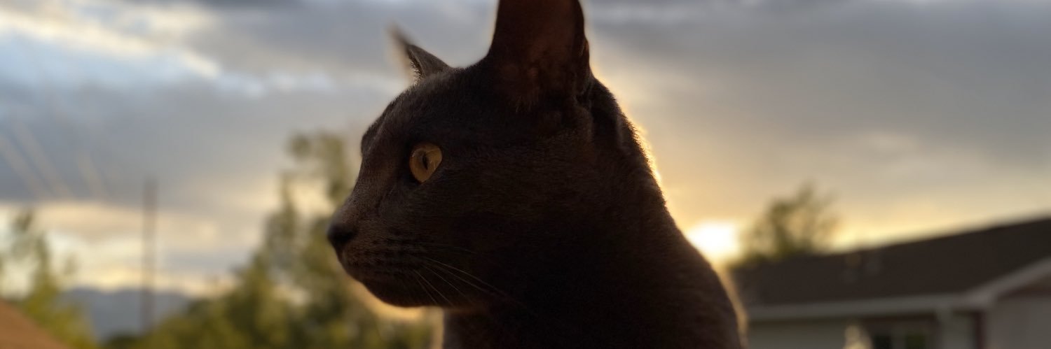 ChadHenwood's profile banner image