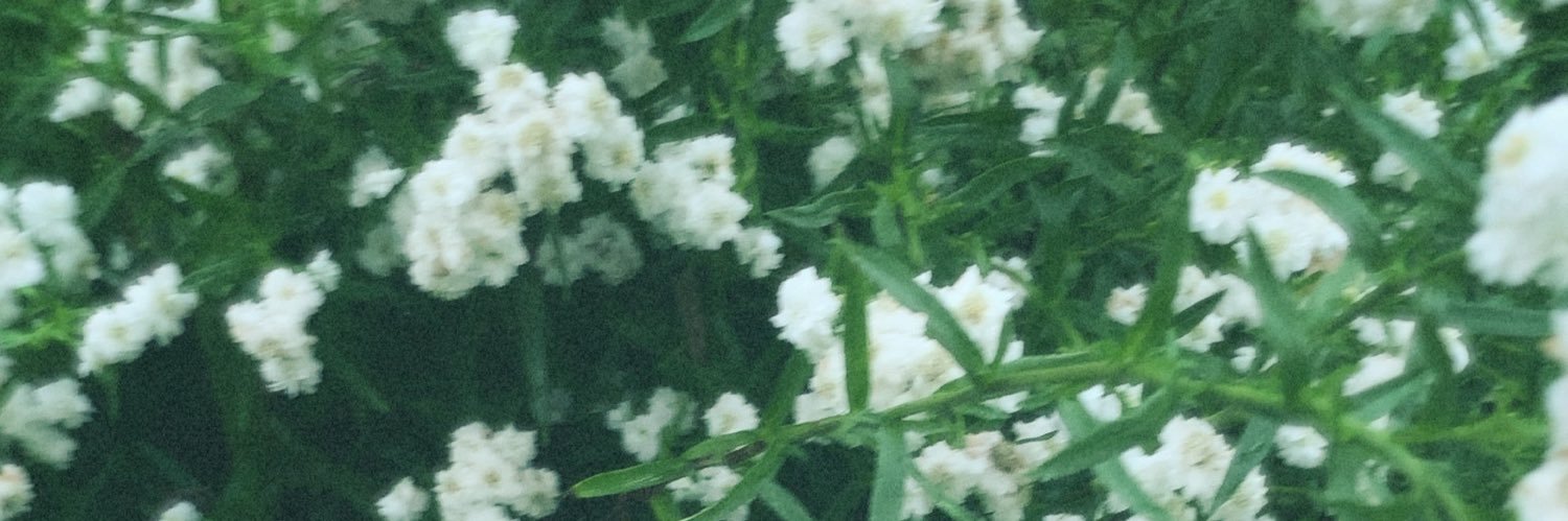 砂浜⁵ banner