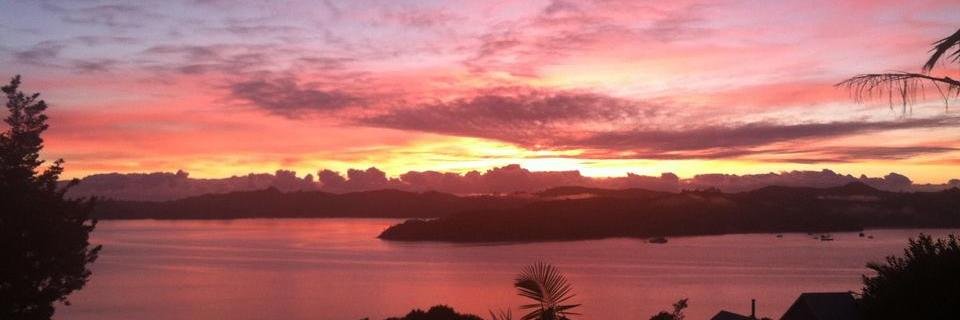 AlohaVidIsland's profile banner image