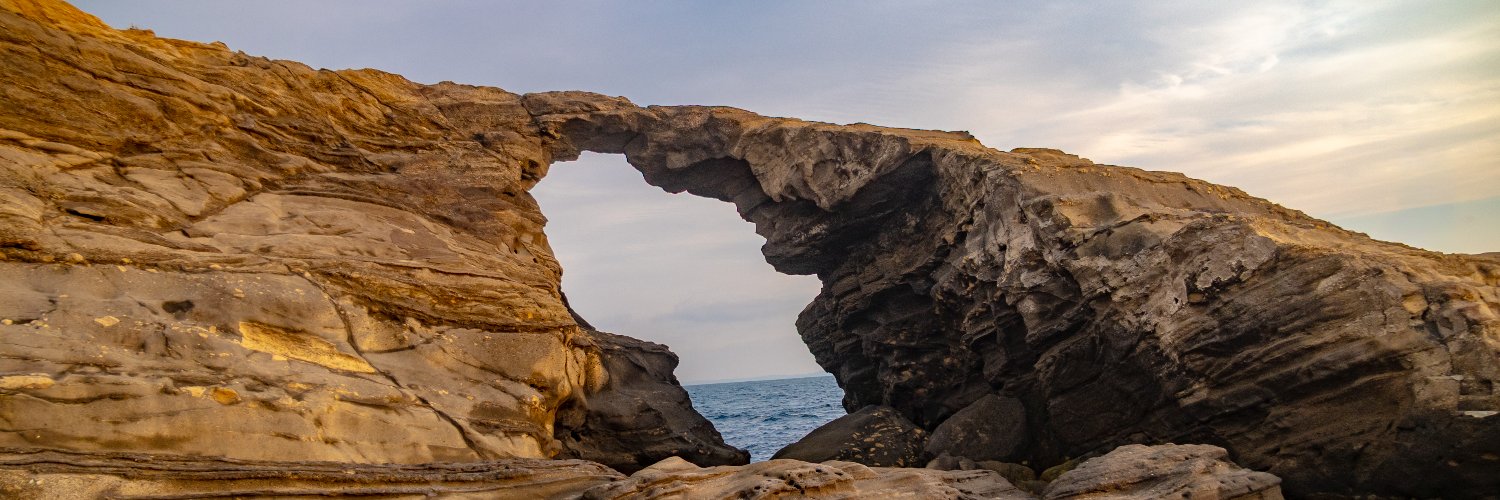 Andy: Life In Video banner