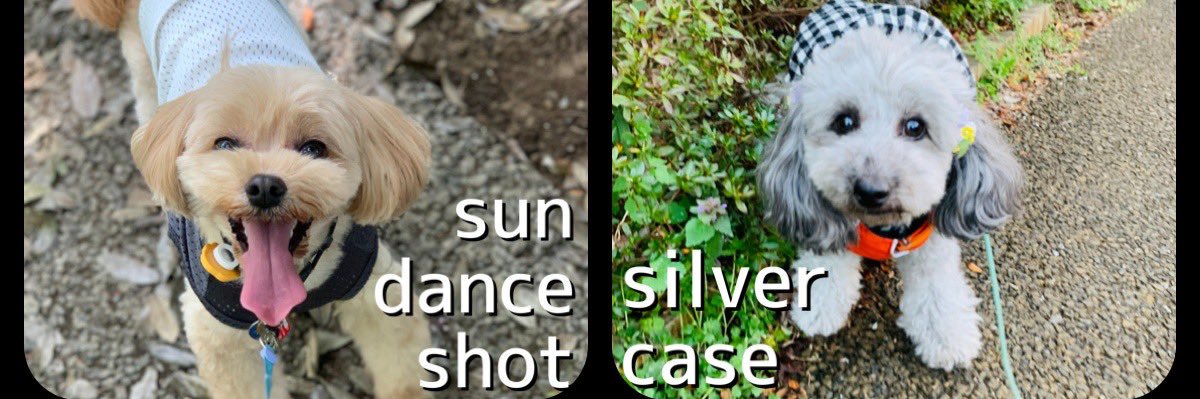 桜庭未那/manna＊ banner