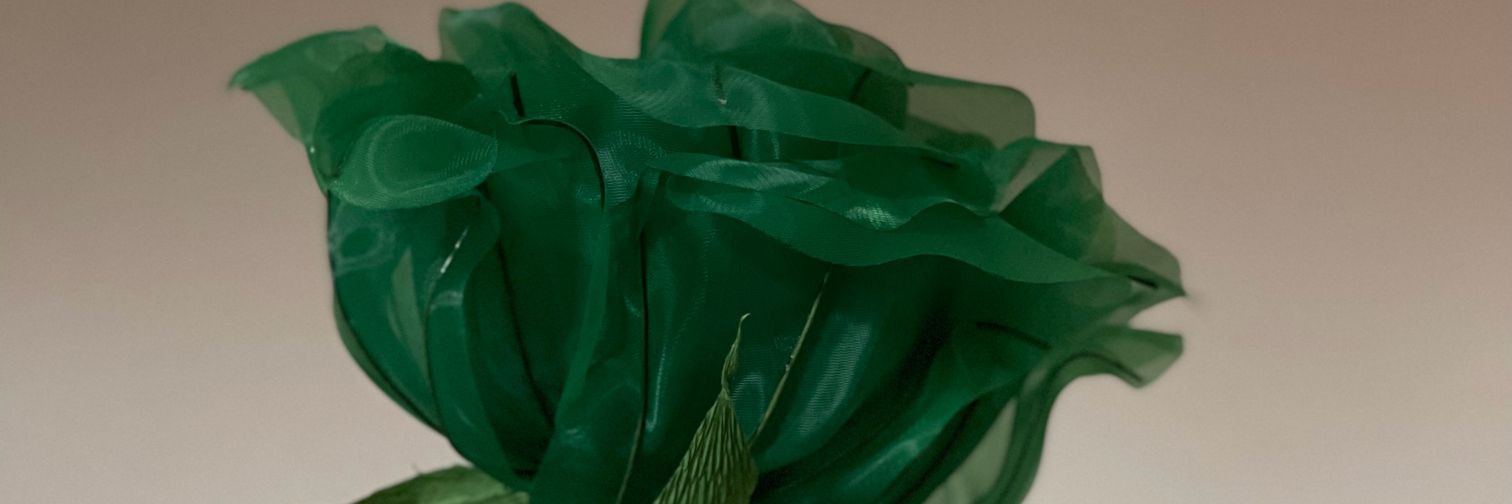 cccjy18's profile banner image