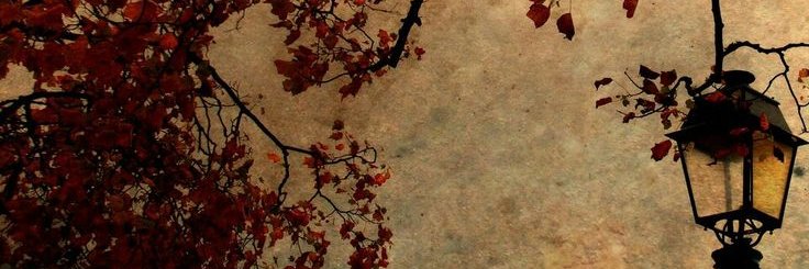 fatima 🎱 banner