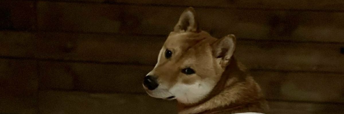 cryptojsb's profile banner image