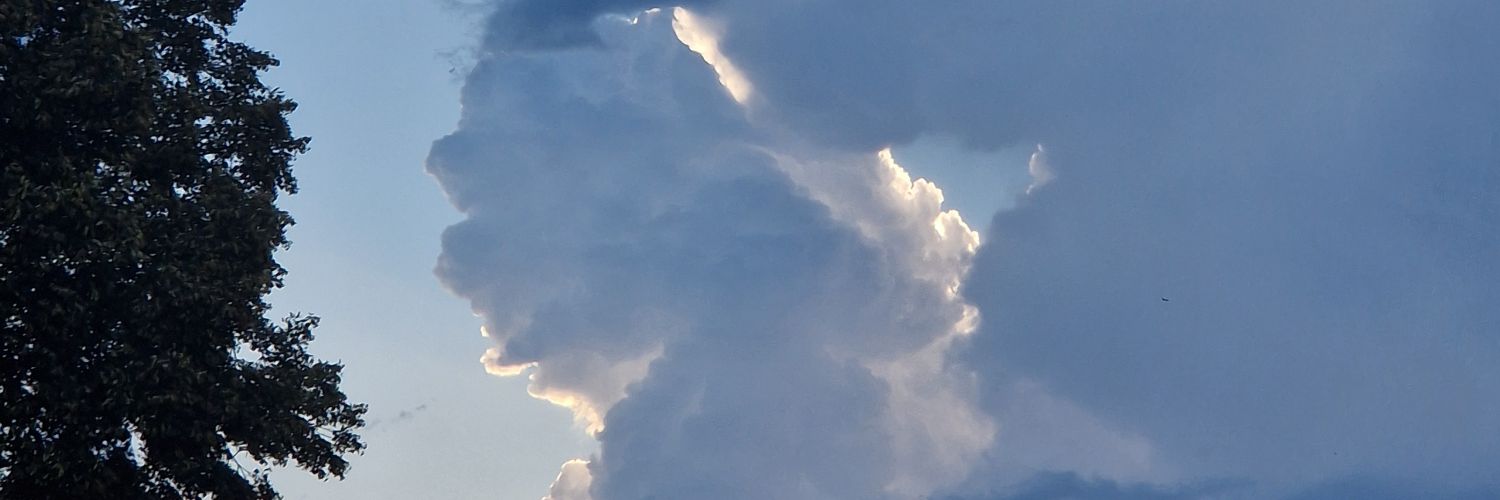 FatherBenedict banner