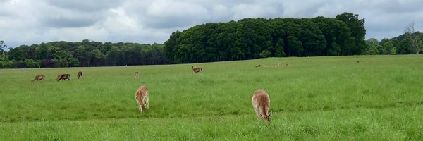 jane_faull Profile Banner