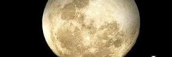 Ola_-_Gold816 banner