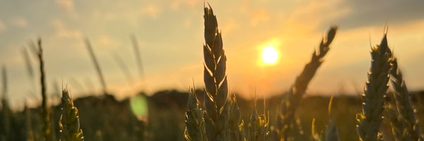 filouino Profile Banner
