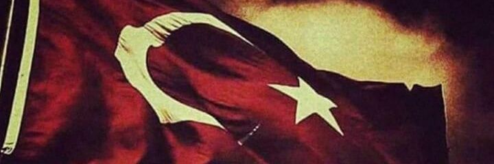 TIGER banner