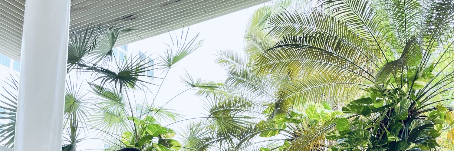 cesarpinto_'s profile banner image